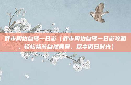 呼市周边自驾一日游(呼市周边自驾一日游攻略,轻松畅游自然美景,尽享假日时光)