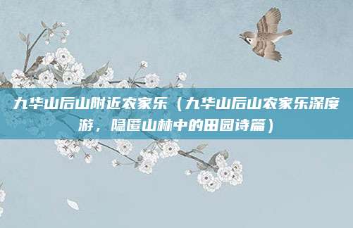 九华山后山附近农家乐（九华山后山农家乐深度游，隐匿山林中的田园诗篇）