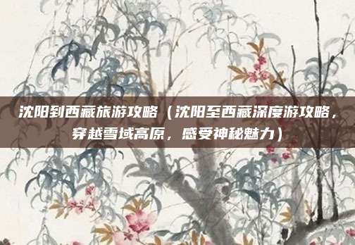 沈阳到西藏旅游攻略(沈阳至西藏深度游攻略,穿越雪域高原,感受神秘魅力)