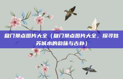 盘门景点图片大全(盘门景点图片大全,探寻姑苏城水的韵味与古朴)
