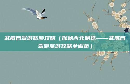 武威自驾游旅游攻略（探秘西北明珠——武威自驾游旅游攻略全解析）