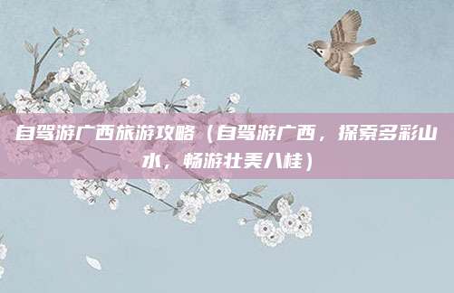 自驾游广西旅游攻略(自驾游广西,探索多彩山水,畅游壮美八桂)