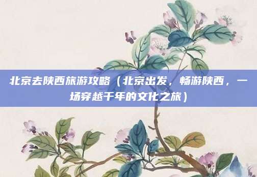 北京去陕西旅游攻略（北京出发，畅游陕西，一场穿越千年的文化之旅）