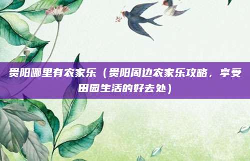 贵阳哪里有农家乐(贵阳周边农家乐攻略,享受田园生活的好去处)