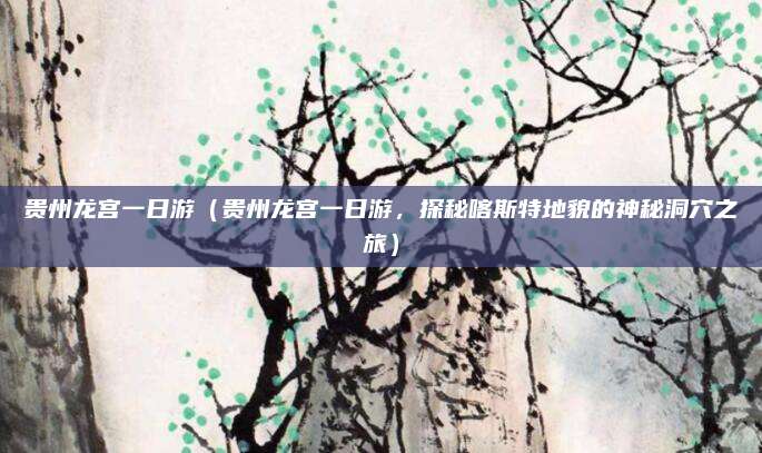 贵州龙宫一日游（贵州龙宫一日游，探秘喀斯特地貌的神秘洞穴之旅）
