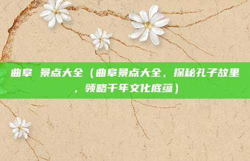 曲阜 景点大全(曲阜景点大全,探秘孔子故里,领略千年文化底蕴)