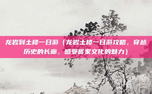 龙岩到土楼一日游(龙岩土楼一日游攻略,穿越历史的长廊,感受客家文化的魅力)