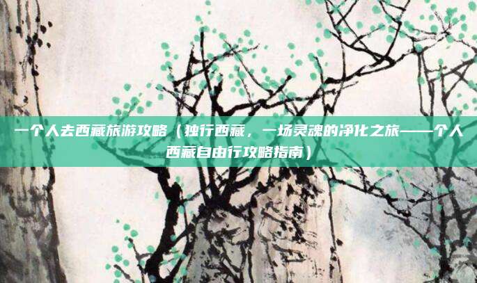一个人去西藏旅游攻略(独行西藏,一场灵魂的净化之旅——个人西藏自由行攻略指南)