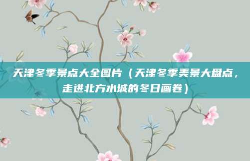 天津冬季景点大全图片(天津冬季美景大盘点,走进北方水城的冬日画卷)