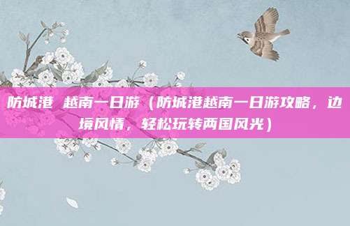 防城港 越南一日游（防城港越南一日游攻略，边境风情，轻松玩转两国风光）