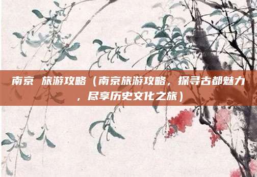 南京 旅游攻略(南京旅游攻略,探寻古都魅力,尽享历史文化之旅)
