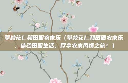 攀枝花仁和田园农家乐（攀枝花仁和田园农家乐，体验田园生活，尽享农家风情之旅！）