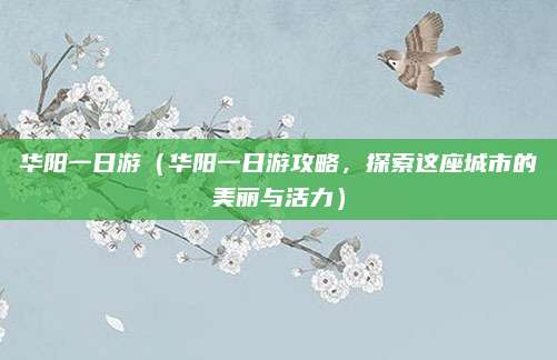 华阳一日游(华阳一日游攻略,探索这座城市的美丽与活力)