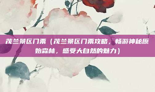茂兰景区门票(茂兰景区门票攻略,畅游神秘原始森林,感受大自然的魅力)