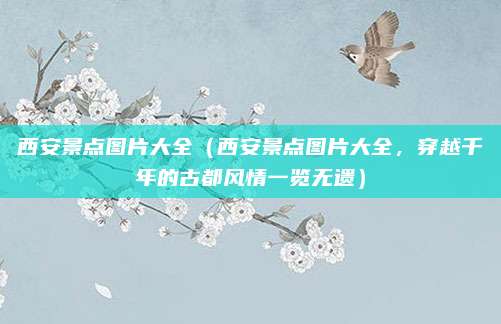 西安景点图片大全（西安景点图片大全，穿越千年的古都风情一览无遗）