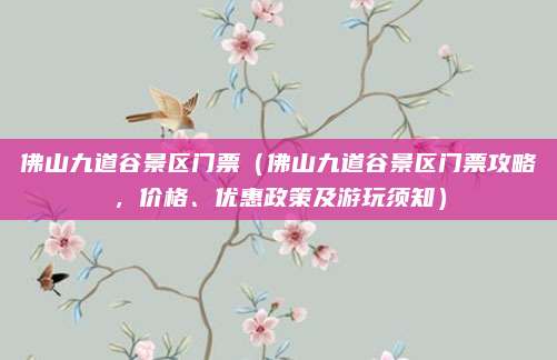 佛山九道谷景区门票(佛山九道谷景区门票攻略,价格、优惠政策及游玩须知)