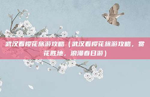 武汉看樱花旅游攻略(武汉看樱花旅游攻略,赏花胜地,浪漫春日游)