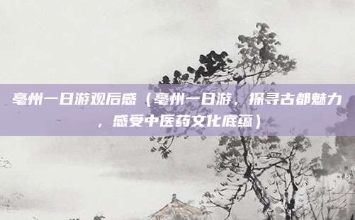 亳州一日游观后感（亳州一日游，探寻古都魅力，感受中医药文化底蕴）