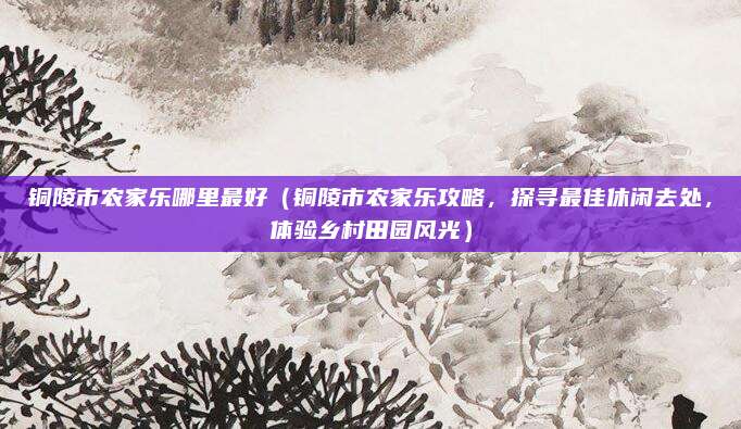 铜陵市农家乐哪里最好(铜陵市农家乐攻略,探寻最佳休闲去处,体验乡村田园风光)