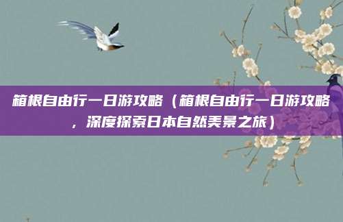 箱根自由行一日游攻略(箱根自由行一日游攻略,深度探索日本自然美景之旅)