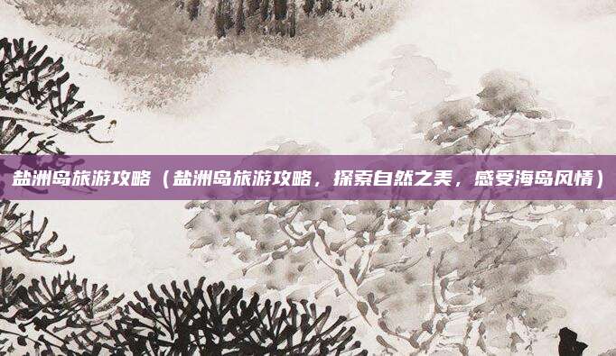 盐洲岛旅游攻略（盐洲岛旅游攻略，探索自然之美，感受海岛风情）