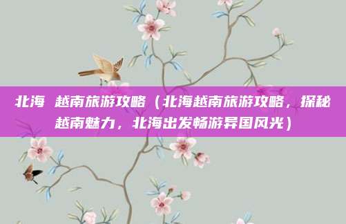 北海 越南旅游攻略(北海越南旅游攻略,探秘越南魅力,北海出发畅游异国风光)
