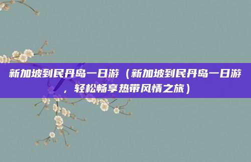 新加坡到民丹岛一日游(新加坡到民丹岛一日游,轻松畅享热带风情之旅)