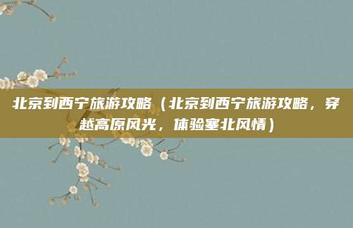 北京到西宁旅游攻略（北京到西宁旅游攻略，穿越高原风光，体验塞北风情）