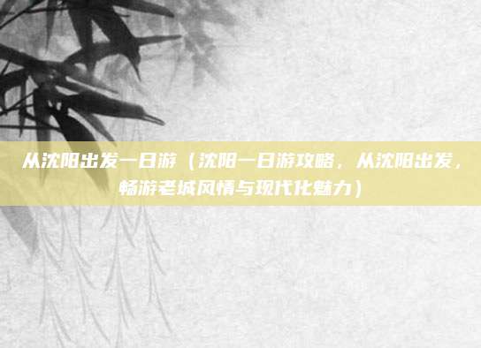 从沈阳出发一日游(沈阳一日游攻略,从沈阳出发,畅游老城风情与现代化魅力)