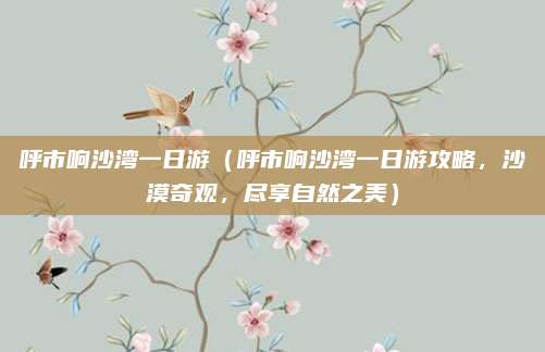 呼市响沙湾一日游(呼市响沙湾一日游攻略,沙漠奇观,尽享自然之美)