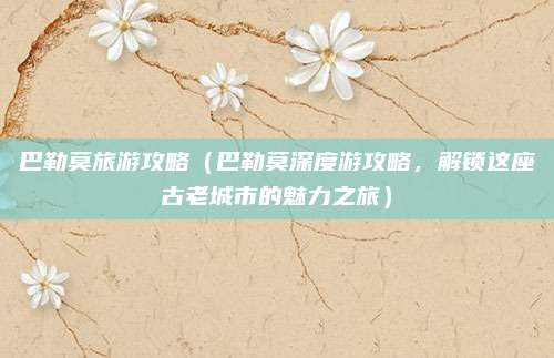 巴勒莫旅游攻略（巴勒莫深度游攻略，解锁这座古老城市的魅力之旅）