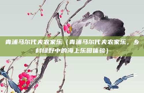 青浦马尔代夫农家乐(青浦马尔代夫农家乐,乡村绿野中的海上乐园体验)