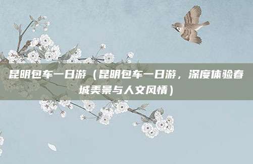 昆明包车一日游（昆明包车一日游，深度体验春城美景与人文风情）