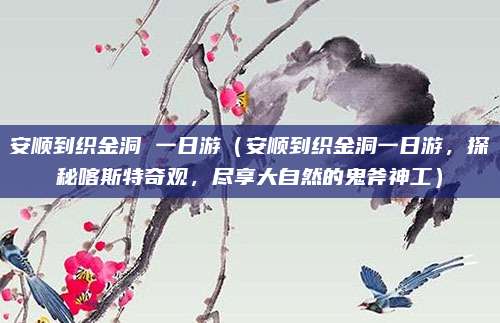安顺到织金洞 一日游(安顺到织金洞一日游,探秘喀斯特奇观,尽享大自然的鬼斧神工)