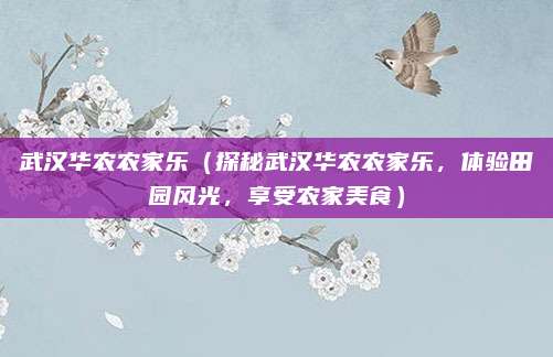 武汉华农农家乐（探秘武汉华农农家乐，体验田园风光，享受农家美食）