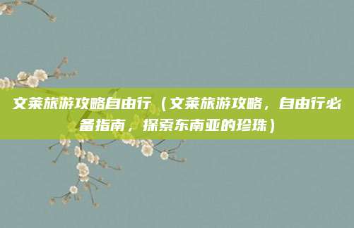 文莱旅游攻略自由行（文莱旅游攻略，自由行必备指南，探索东南亚的珍珠）