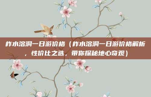 柞水溶洞一日游价格（柞水溶洞一日游价格解析，性价比之选，带你探秘地心奇观）