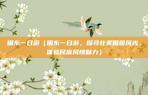田东一日游（田东一日游，探寻壮美田园风光，体验民族风情魅力）