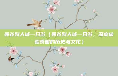 曼谷到大城一日游（曼谷到大城一日游，深度体验泰国的历史与文化）