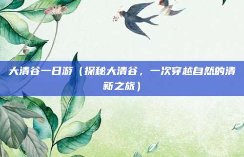 大清谷一日游（探秘大清谷，一次穿越自然的清新之旅）