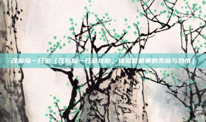 茂宜岛一日游(茂宜岛一日游攻略,体验夏威夷的美丽与热情)