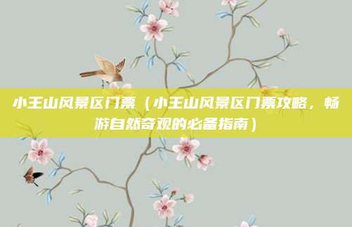 小王山风景区门票(小王山风景区门票攻略,畅游自然奇观的必备指南)