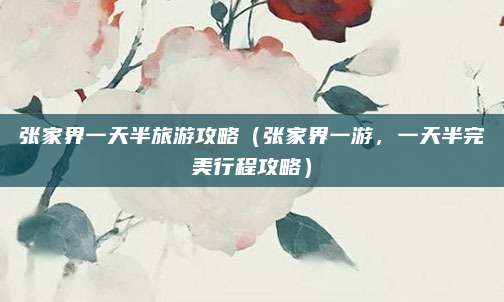 张家界一天半旅游攻略(张家界一游,一天半完美行程攻略)
