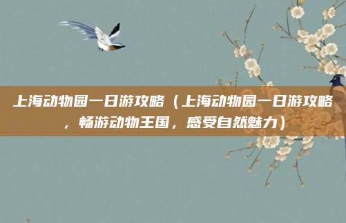 上海动物园一日游攻略(上海动物园一日游攻略,畅游动物王国,感受自然魅力)