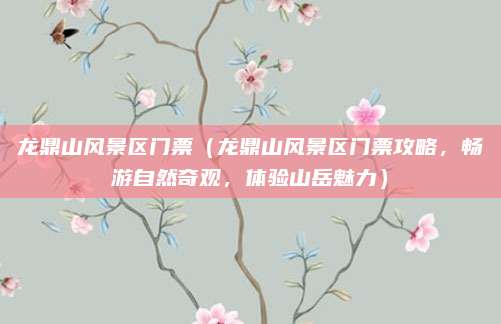 龙鼎山风景区门票(龙鼎山风景区门票攻略,畅游自然奇观,体验山岳魅力)