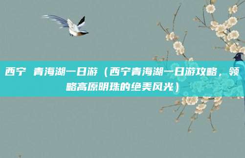 西宁 青海湖一日游(西宁青海湖一日游攻略,领略高原明珠的绝美风光)