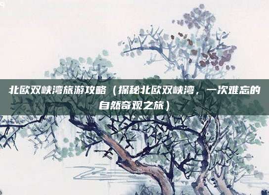 北欧双峡湾旅游攻略(探秘北欧双峡湾,一次难忘的自然奇观之旅)