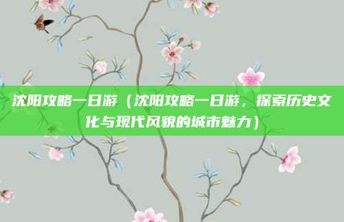 沈阳攻略一日游（沈阳攻略一日游，探索历史文化与现代风貌的城市魅力）