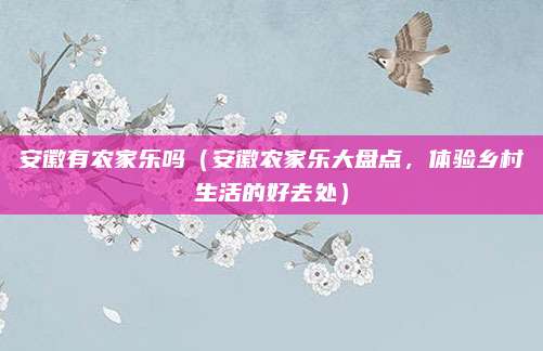 安徽有农家乐吗（安徽农家乐大盘点，体验乡村生活的好去处）