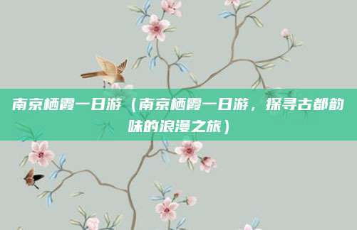 南京栖霞一日游(南京栖霞一日游,探寻古都韵味的浪漫之旅)